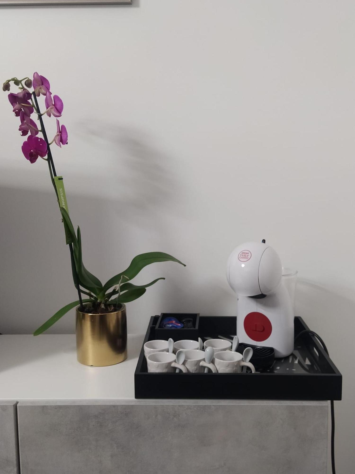 피우미치노 La Perla Del Mare - 9 Minutes From Fco Airport - Free Wifi E Netflix 아파트 외부 사진